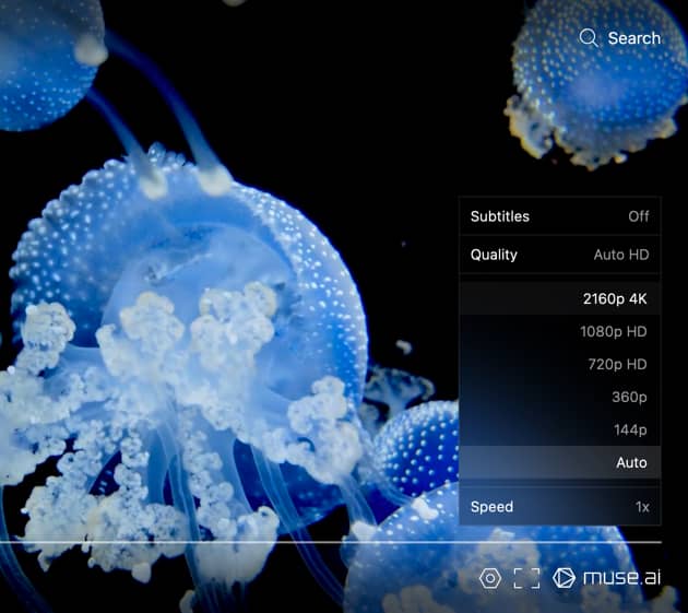 Selecting video quality